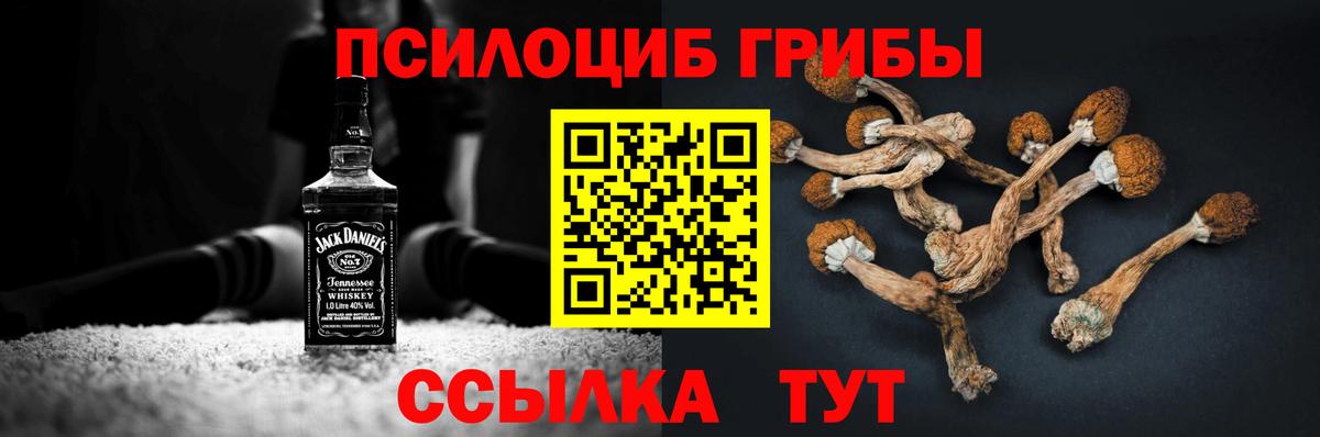 Галлюциногенные грибы Cubensis Егорьевск